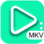 mkv播放器 – MKV Player